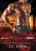Camriel (Knights of Order #2)