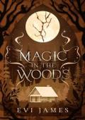 Magic in the Woods (The North Woods #3)