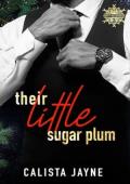 Their Little Sugar Plum (Happy Holidaddies #2)