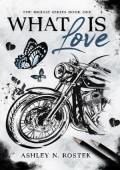 What Is Love (The Bridge #1)