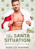 The Santa Situation (Christmas at Mistletoe Bay #1)
