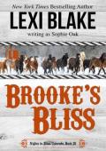 Brooke’s Bliss (Nights in Bliss, Colorado #15)