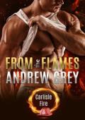 From the Flames (Carlisle Fire #3)