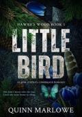 Little Bird (Hawke’s Wood #1)