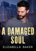 A Damaged Soul (Blackguard Security #7)