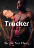 Trucker (Police and Fire: Operation Alpha)