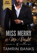 Miss Merry and Mr. Bright (Return to Starlight Bay #24)