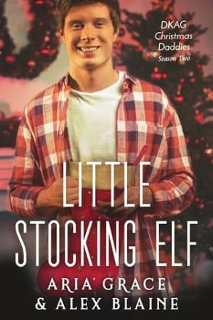 Little Stocking Elf (DKAG Christmas Daddies Season Two)