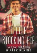 Little Stocking Elf (DKAG Christmas Daddies Season Two)