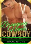 Bringing Home A Cowboy (A Cowboy For Christmas #3)
