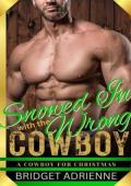 Snowed In with the Wrong Cowboy (A Cowboy for Christmas #2)