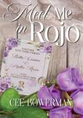 Meet Me in Rojo (Texas Queens MC, #3)