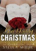 Big Daddy Christmas (Big Daddy Energy #5)