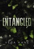Entangled (The Luchetti Brothers #1)