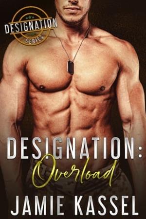 Designation Overload (The Designation #4)