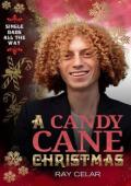A Candy Cane Christmas (Single Dads All the Way)