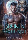 Broken Forced Mate (Badlands Wolves #5)