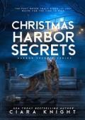 Christmas Harbor Secrets (Harbor Secrets #1)