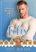 A Daddy for Christmas 3: Felix (Daddy for Christmas 3 is a multi-author #1)