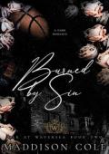 Burned By Sin (War at Waversea #2)