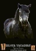 Silver Treasure (Denton Family #1)