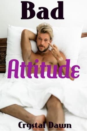 Bad Attitude (Wolf Investigations and Securities Inc. #4)