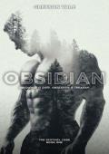 Obsidian (The Sentinel Code #1)