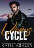 Vicious Cycle (Hells Raiders MC #1)