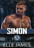 Simon (Bayou Brotherhood Protectors #8)