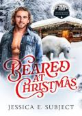 Beared at Christmas (Double-Booked for the Holidays #10)