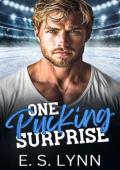 One Pucking Surprise (One Pucking #2)