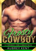 Frosty Cowboy (A Cowboy for Christmas #12)