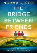 The Bridge Between Friends
