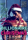 My Big, Fat, Snowed-In Billionaire Christmas (Big, Fat Bigwigs #6)
