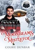 Moonbeams & Mistletoe (Double-Booked for the Holidays #12)