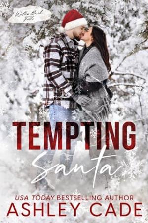 Tempting Santa (Willow Brook Falls)