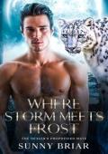 Where Storm Meets Frost (Fated Mates, Stubborn Hearts #3)