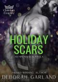 Holiday Scars (Quinlan Empire)