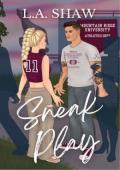 Sneak Play (The Playbook #3)