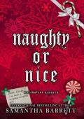 Naughty Or Nice (Malevolent Sinners #1)