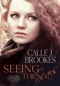 Seeing the Scars (Masterson County #13)