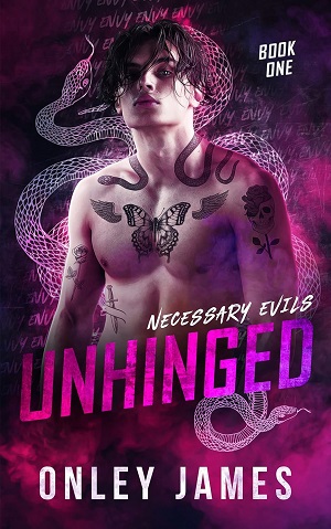 Villains & Vigilantes (Necessary Evils #1)