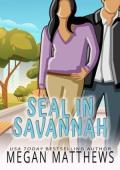 SEAL in Savannah (Deadly Destinations #1)
