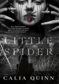 Little Spider (Little Nightmare Duet #1)