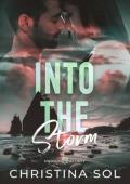 Into the Storm (Hudson Security #2)