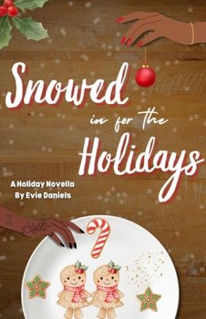 Snowed in for the Holidays