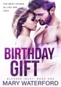 Birthday Gift (Blessed Inlet #1)