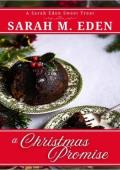 A Christmas Promise (Sweet Treat Novellas #8)