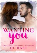 Wanting You (The Saxville Sweethearts #2)