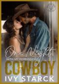 One Night with my Forbidden Cowboy (Wrangler Creek: The BAD BOYS of Iron Stallion Ranch #4)
